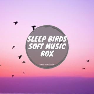Sleep Birds, Soft Music Box