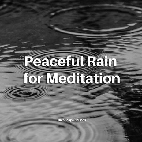 Peaceful Rain for Meditation | Boomplay Music