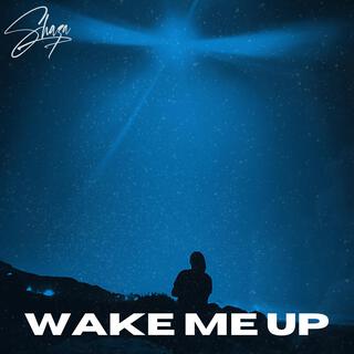 Wake me up lyrics | Boomplay Music