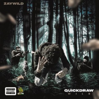 Quickdraw Wild