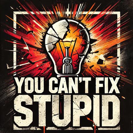 You Can’t Fix Stupid