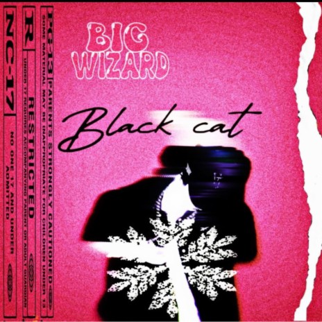 Black cat | Boomplay Music
