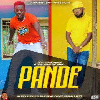 Pande ft. Moji Short Babaa lyrics | Boomplay Music