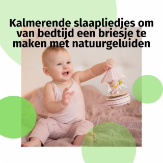 Kalmerende slaapliedjes om van bedtijd een briesje te maken met natuurgeluiden