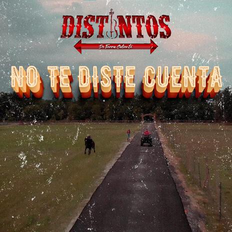 No Te Diste Cuenta