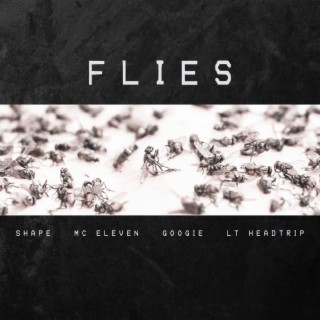 Flies