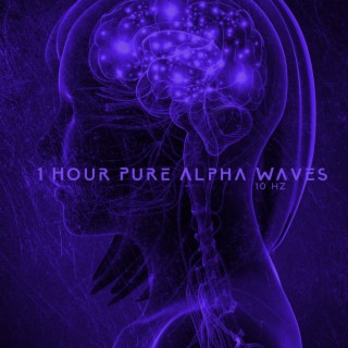 1 Hour Pure Alpha Waves 10 Hz: Happiness Frequency, Serotonin, Dopamine and Endorphin Release Music