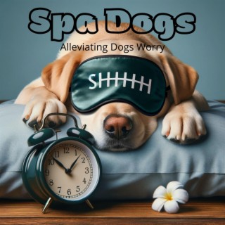 Spa Dogs: Alleviating Dogs Worry, Hypnotherapy of Dogs for Adoption, Pet Relaxation, Stress Relief