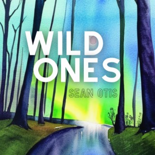 Wild Ones lyrics | Boomplay Music