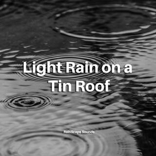 Light Rain on a Tin Roof