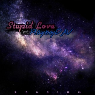 Stupid Love ft. PlayboyDAV lyrics | Boomplay Music