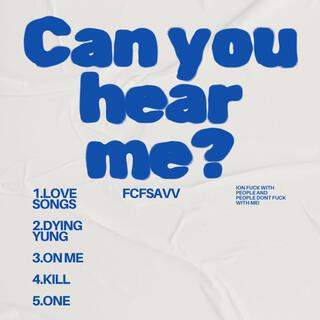 Can you hear me?