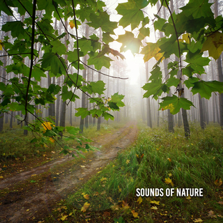 Sounds Of Nature