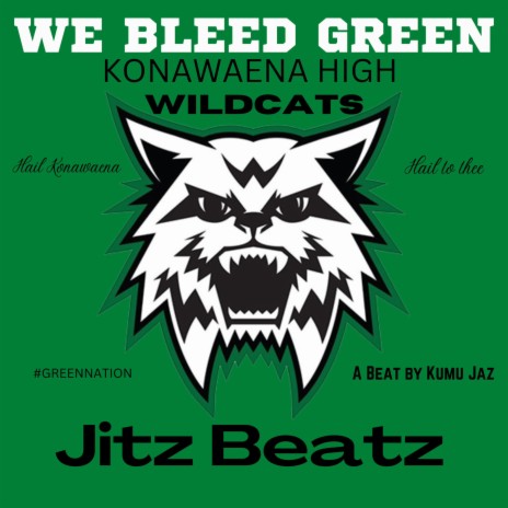We Bleed Green (Instrumental) ft. Jitz Beatz | Boomplay Music