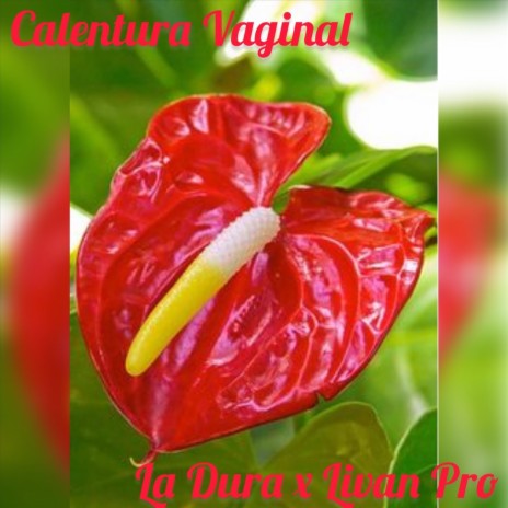 Calentura Vaginal | Boomplay Music