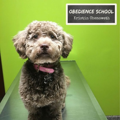 Obedience School | Boomplay Music