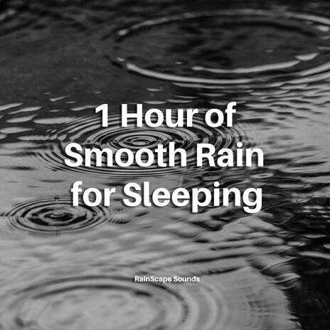 1 Hour of Smooth Rain for Sleeping | Boomplay Music