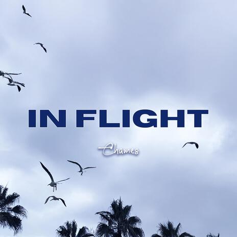 In Flight | Boomplay Music