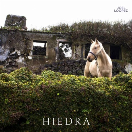 Hiedra | Boomplay Music