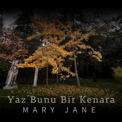 Yaz bunu bir kenara | Boomplay Music