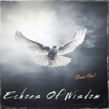 Echoes Of Wisdom | Boomplay Music