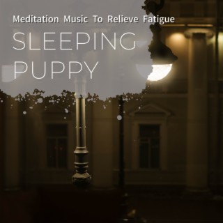 Meditation Music to Relieve Fatigue