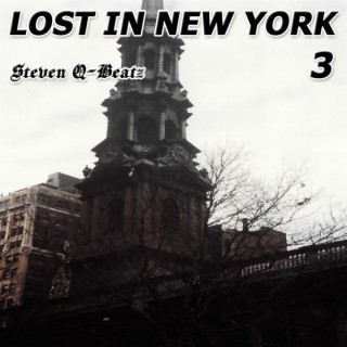 Lost In New York, Pt. 3