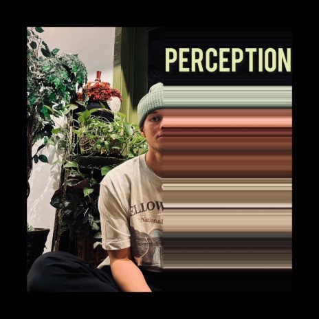 Perception | Boomplay Music