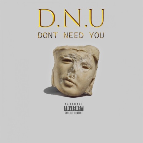 D.N.U (Dont Need You) | Boomplay Music