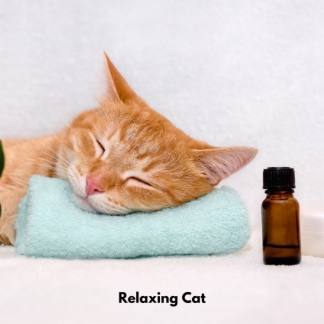 Gentle Paws Melodies ft. Music for Cats Deluxe & Relaxing Cat Music Therapy | Boomplay Music