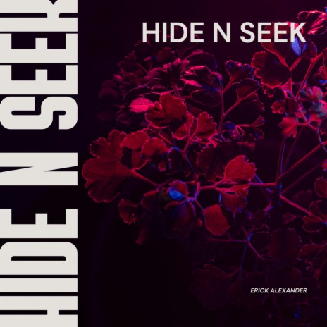 Hide n Seek | Boomplay Music