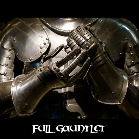 Falconry Gauntlet