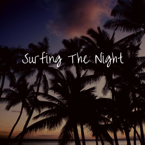 Surfing The Night | Boomplay Music