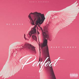 Perfect ft. Harp Sandhu lyrics | Boomplay Music