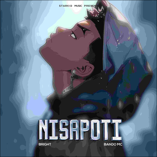 Nisapoti