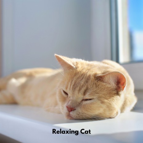 Gentle Paws Melodies ft. Cat Total Relax & Cat Relax | Boomplay Music