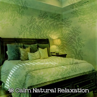 48 Calm Natural Relaxation