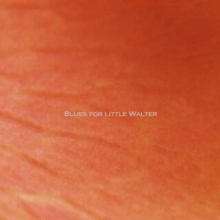 BLUES FOR LITTLE WALTER