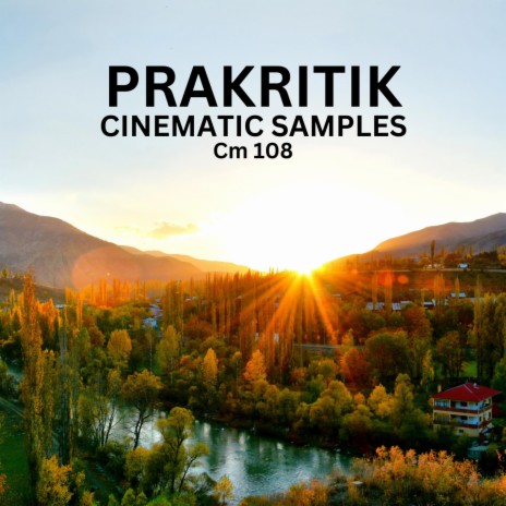 PRAKRITIK | Boomplay Music