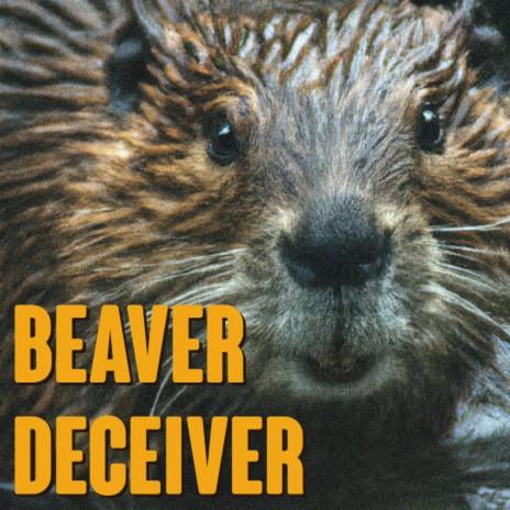 Beaver Deceiver