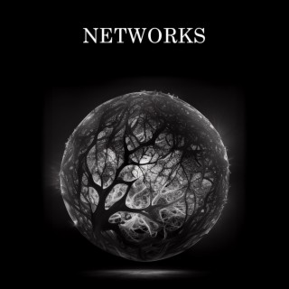 NETWORKS for concert band (live by NJBO)