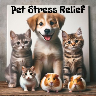 Pet Stress Relief: Music for Dogs and Cats with PTSD, Relaxing Sounds and Recovery