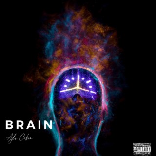 Brain