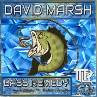 Bass Remedy