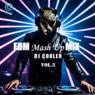 EDM Mash Up Mix, Vol. 3