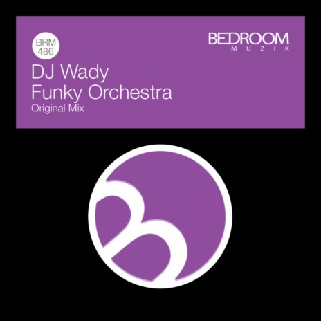 Funky Orchestra | Boomplay Music