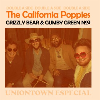 Grizzly Bear & Gumby Green No. 3
