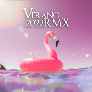 VERANO 2022 (REMIX OFICIAL) ft. THE LA PLANTA, BRANDY LOVE, IVAN FITT, DANI CEJAS & DJ LAUUH lyrics | Boomplay Music