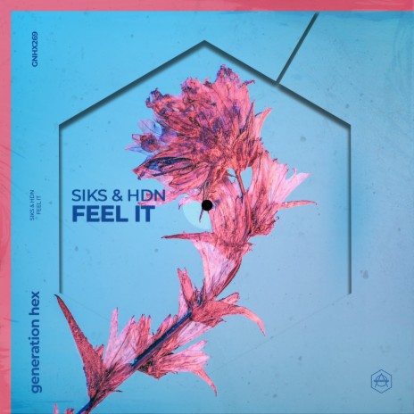 Feel It (Extended Mix) ft. HDN | Boomplay Music