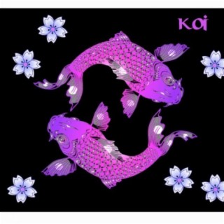 Koi